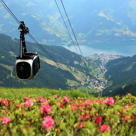 Majestic In Near Ski Area *